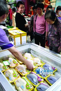 廣州66個檔口開售冰鮮雞，市民反應各異 有人觀望，有人直呼“太貴了！”